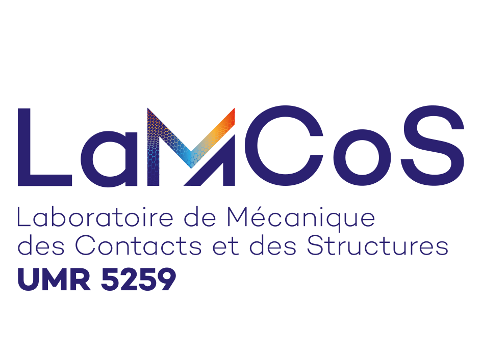 LOGO-LAMCOS-developpe-couleur