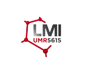 LMI_petit_logo_avecfond-removebg-preview